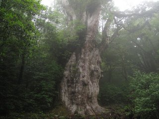 20100603-5.jpg