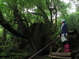 20100826-2.jpg