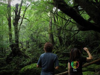 20100908-2.jpg