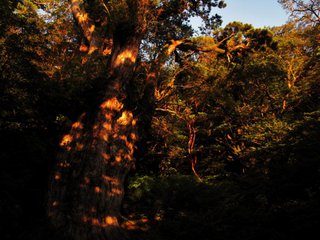 20100908-7.jpg