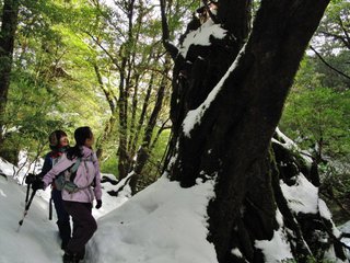 20110104-2.JPG