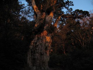 20110413-2.jpg