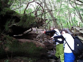 20110511-4.jpg