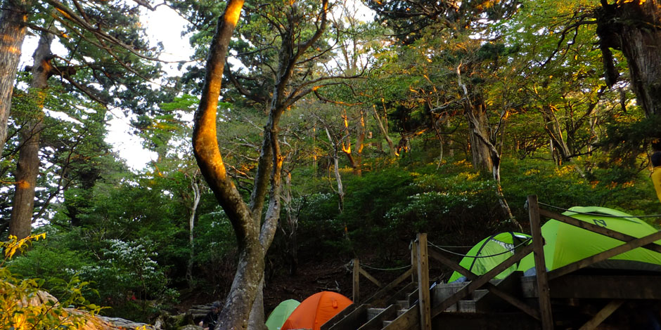 屋久島 縄文杉・白谷雲水峡 1泊2日「少人数制」キャンプツアー