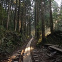 【コースＡ】更にトロッコ道は続きます