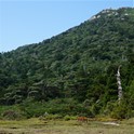 同じく高層湿原「花之江河」で一休みしましょう！