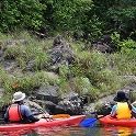 ヤクザルが川岸でたそがれてるぞ！