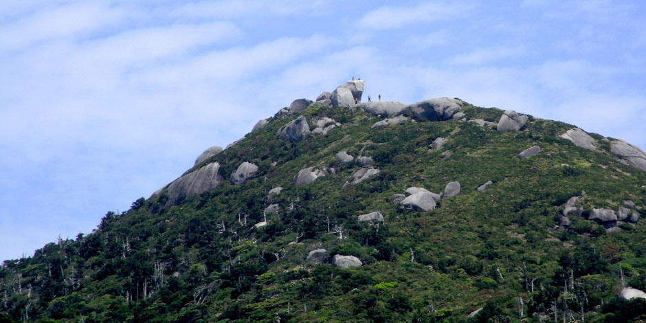 屋久島 黒味岳 登山 ツアー「屋久島の楽園とてっぺんを望む！」