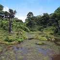 日本庭園風の高層湿原、小花之江河