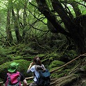 今回は白谷雲水狭に行きました