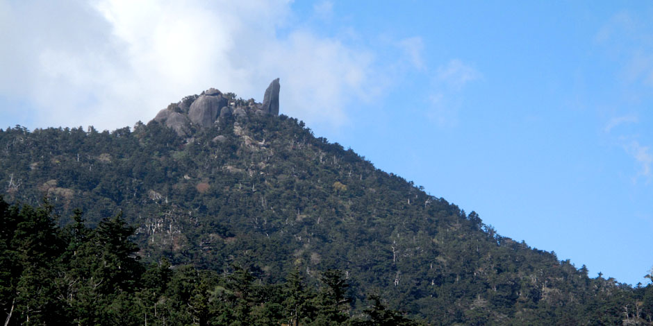 屋久島 太忠岳 登山 ツアー「巨木と奇岩の山頂」
